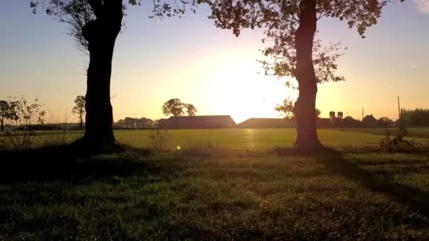 Vista aerea da un drone di un campo pianta tramonto erba fattoria campagna natura con alberi sotto un drammatico cielo tramonto — Video Stock