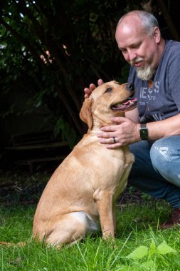 Bir adam sarı labrador av köpeğini bahçede okşuyor. Evcil hayvanları ve arkadaşlık kavramını seviyorum. Köpek portresini kapat.. 