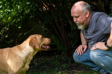 Yakışıklı Adam Arka Bahçe Bahçesinde Mutlu Altın Labrador Köpeği ile oynuyor. Erkek Sadık Pedigree Köpeğiyle Eğlendi Yazlık Ev Bahçesi 'nde.