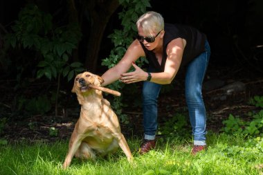 Yakışıklı kadın arka bahçede Mutlu Altın Labrador Köpeği 'yle oynuyor. 