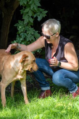 Yakışıklı kadın arka bahçede Mutlu Altın Labrador Köpeği 'yle oynuyor. 
