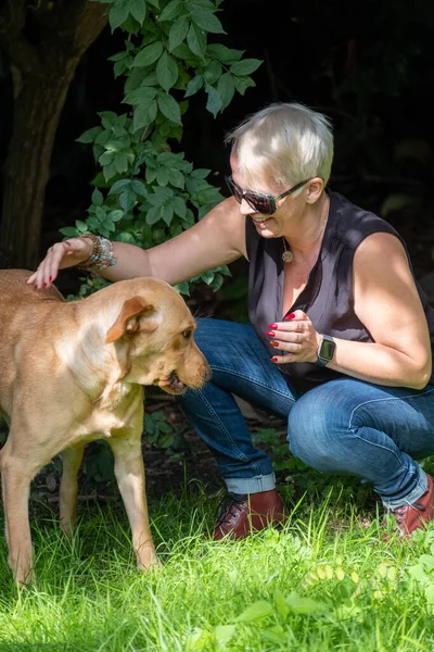 Yakışıklı kadın arka bahçede Mutlu Altın Labrador Köpeği 'yle oynuyor. 