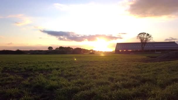Clip aerea cinematografica, drone che sorvola un campo agricolo durante il tramonto — Video Stock
