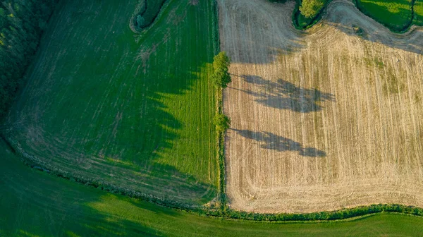 Vackra naturliga mönster av åkrar på landet på sommaren. Drönare Flygfoto, fåglar ögonvy — Stockfoto