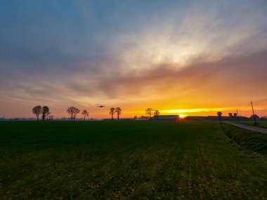 İlkbaharda yeşil çimenler ve sarı çiçekli karahindibalarla kaplı bir arazide dramatik ve renkli bir gün doğumu ya da gün batımı. Güneş ışınları bulutlara doğru ilerliyor..