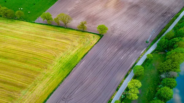 Vackra naturliga mönster av åkrar på landet på sommaren. Drönare Flygfoto, fåglar ögonvy — Stockfoto