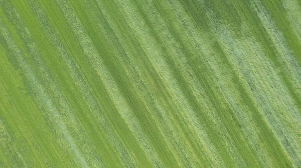 Hava manzaralı geometrik buğday tarlaları, yeşil bir çayır ve sürülen tarlaları gösteriyor, insansız hava aracıyla yakalanmış. — Stok fotoğraf