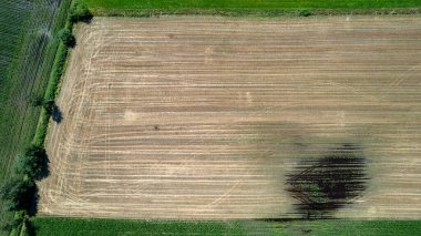Hava manzaralı geometrik tarlalar, yeşil bir çayır ve sürülen tarlaları gösteriyor, İHA ile yakalanmış.
