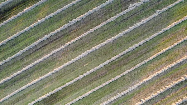 Campos agrícolas geométricos de visão aérea, mostrando um prado verde e campos arados, capturados com um drone — Fotografia de Stock