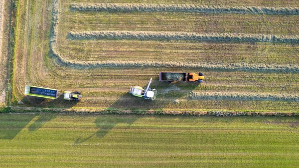 Aerial de enfardadeira trator fazendo fardos de palha no campo após a colheita de trigo no verão na fazenda — Fotografia de Stock