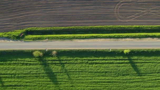 Camino entre campos verdes y prados. Drone video en un día soleado — Vídeos de Stock