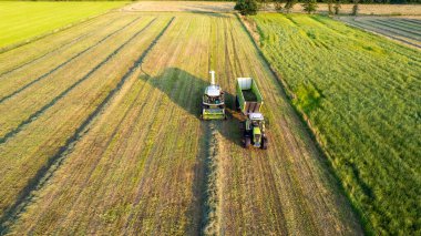 Traktör balyaları yazın çiftlikte buğday hasadından sonra saman balyaları yapıyor.