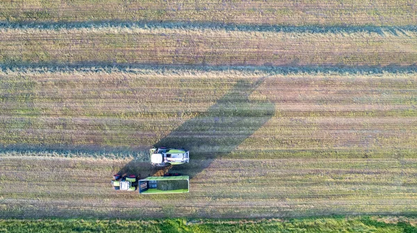 Aérien de la presse à balles tracteur faisant des balles de paille dans le champ après la récolte de blé en été à la ferme — Photo