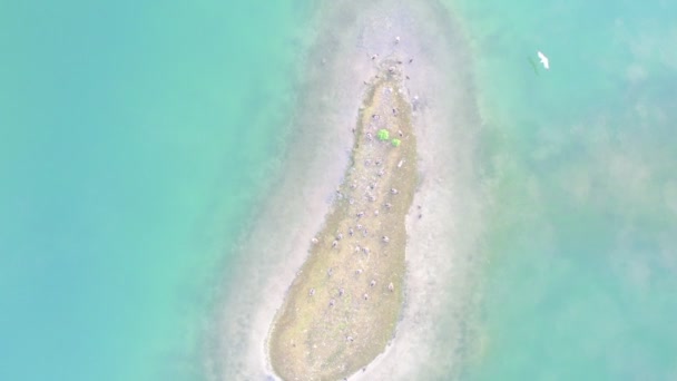 Hög vinkel drönare flygning av liten remsa av sand som förbinder framför en orörd ö strand, naturliga landskap och landskap — Stockvideo