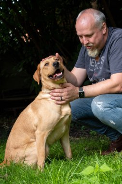 Yakışıklı Adam Arka Bahçe Bahçesinde Mutlu Altın Labrador Köpeği ile oynuyor. Erkek Sadık Pedigree Köpeğiyle Eğlendi Yazlık Ev Bahçesi 'nde.