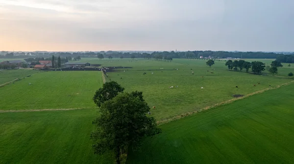 Vue aérienne avec un drone d'un paysage rural agricole ondulé de printemps avec des champs labourés et non labourés et des arbres dans le ciel bleu du soir — Photo