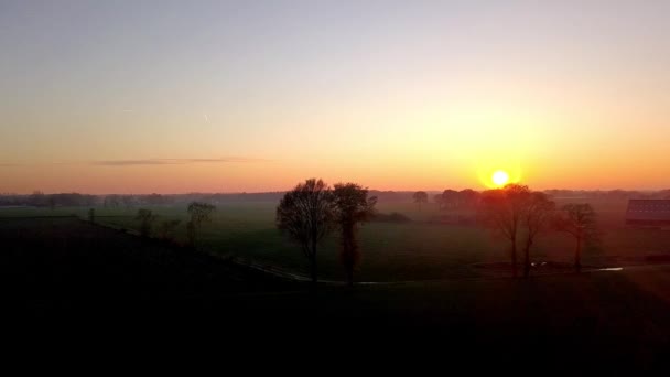 Aerial Cinematic clip, Dron przelatujący nad polem podczas zachodu słońca — Wideo stockowe