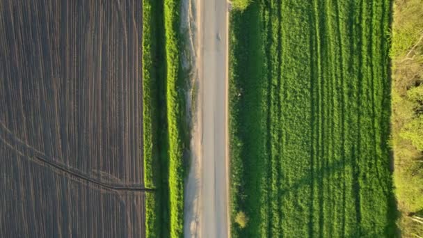 Strada tra campi verdi e prati. Drone video in una giornata di sole — Video Stock