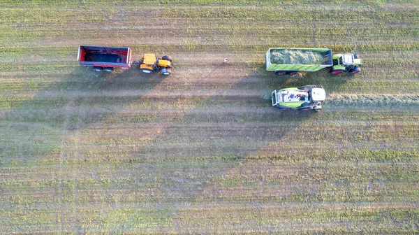 Antenn på traktor balpressar som gör halmbalar i fält efter veteskörd på gården under sommaren — Stockfoto