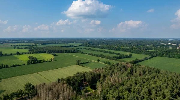 Land or landscape of green field in aerial view. Include agriculture farm, house building, village. That real estate or property. Plot of land for housing subdivision, development, sale or investment.