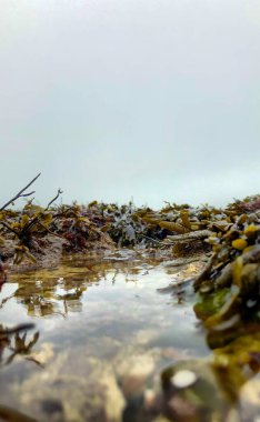 Fransa 'nın Normandiya sahilinde kayaların üzerinde dalgalar süzülüyor.