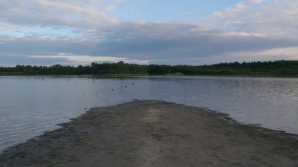 Superficie de agua ondulada con reflejo del cielo borroso. Textura de agua ondulada con reflejo borroso a la luz del sol brillante. Paisaje tranquilo con lago de bosque — Vídeos de Stock