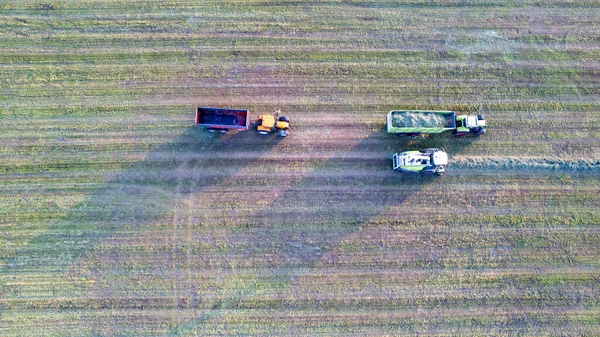 Traktör balyaları yazın çiftlikte buğday hasadından sonra saman balyaları yapıyor.