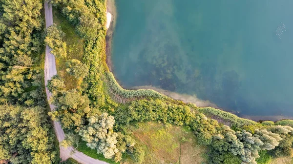 Flygfoto över en pittoresk plats där transparent turkost vatten i en skogssjö möter en stenig strand med träd på våren. fångas med en drönare — Stockfoto