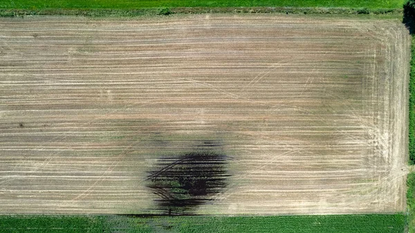 Campos agrícolas geométricos de visão aérea, mostrando um prado verde e campos arados, capturados com um drone — Fotografia de Stock