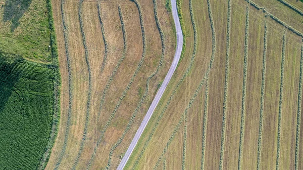 Luftaufnahme geometrischer Felder, die eine grüne Wiese und gepflügte Felder zeigen, aufgenommen mit einer Drohne — Stockfoto
