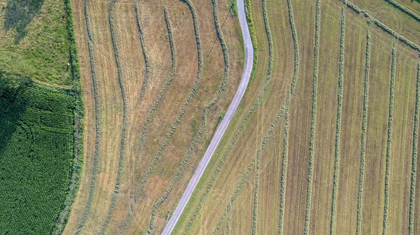 Hava manzaralı geometrik tarlalar, yeşil bir çayır ve sürülen tarlaları gösteriyor, İHA ile yakalanmış. — Stok fotoğraf