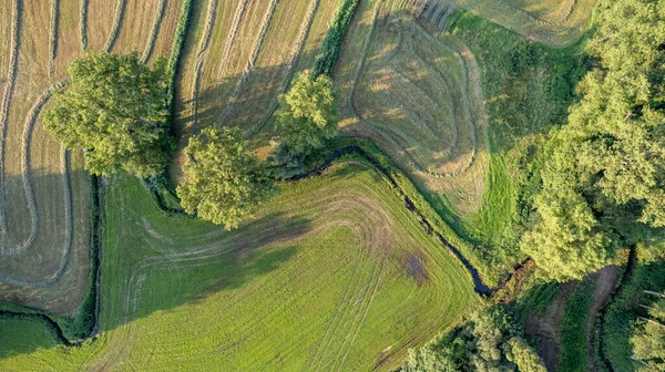 Vista aérea do rio das planícies sinuosas na exuberante vegetação verde do delta — Fotografia de Stock