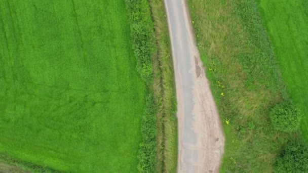 Strada tra campi verdi e prati. Drone video in una giornata di sole — Video Stock