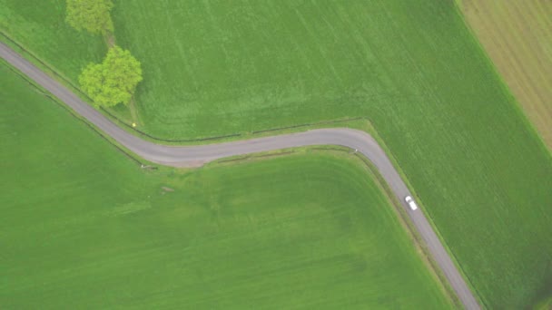 Camino entre campos verdes y prados. Drone video en un día soleado — Vídeo de stock