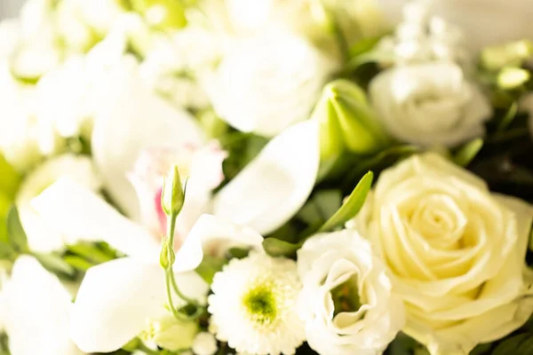Букет белых роз. Ароматные цветы. Фон. Фото обои — стоковое фото