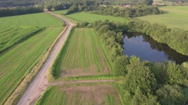 Küçük ağaçlarla yeşil çayırların üzerinde uçuyor.