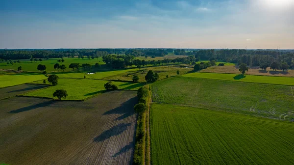 Vista aérea con un dron de un paisaje rural agrícola ondulado de primavera con campos y árboles arados y sin arar en el cielo azul de la noche — Foto de Stock