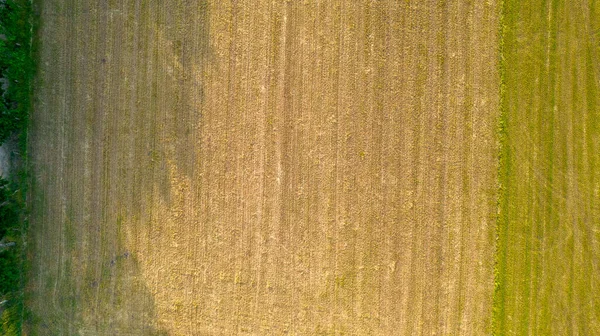 Aerial view geometric farming fields, showing a green meadow and plowed fields, captured with a drone — Stock Photo, Image