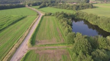 Küçük ağaçlarla yeşil çayırların üzerinde uçuyor.