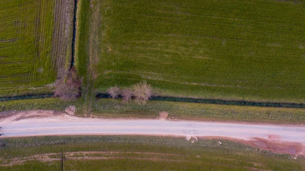 Widok z lotu ptaka geometryczne pola uprawne, przedstawiające zieloną łąkę i pola orane, schwytane dronem — Zdjęcie stockowe