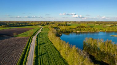 Mavi gökyüzünde tarlaları sürülen ve sürülmemiş tarlaları ve ağaçları olan ilkbahar dalgalı tarım arazisinin insansız hava aracı. Yüksek kalite fotoğraf