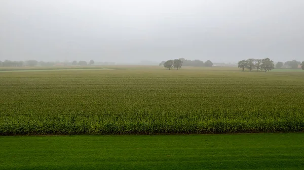 Vista aérea de un paisaje rural durante el amanecer en Bélgica. Granja rural, campos de maíz, campos verdes, luz solar y niebla. Bélgica, Europa. — Foto de Stock