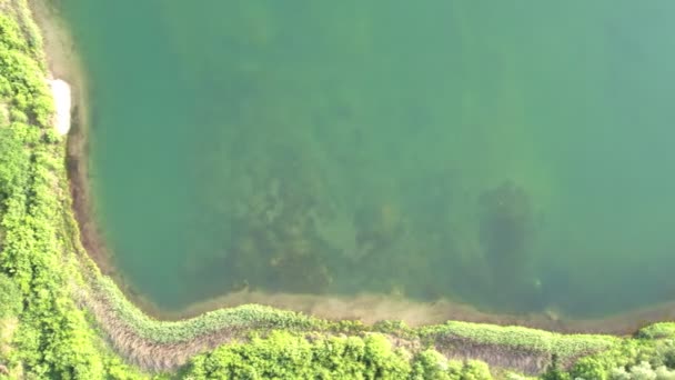 Вид з повітря на берег великого лісового озера, що показує чисту воду, піщаний пляж і дерева в літній час, безпілотник — стокове відео