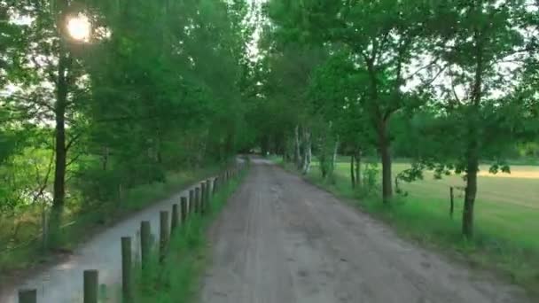 Een krijgsgevangene. Wandelen door het bos, standvastig schot. — Stockvideo