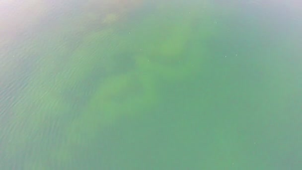Widok z lotu ptaka na brzeg dużego leśnego jeziora zachód słońca lub wschód słońca, ukazujący czystą wodę, piaszczystą plażę i drzewa latem, Zdjęcia z drona lotniczego — Wideo stockowe