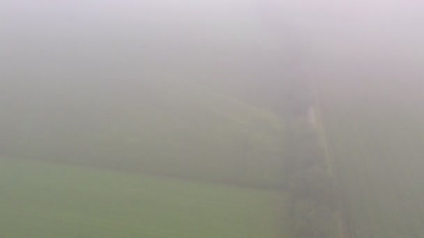 Пролетев над зеленым лугом с маленькими деревьями туманным утром — стоковое видео