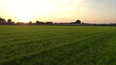 Kırsal kesim dramatik ve renkli bir günbatımı uçuşu bir orman gölü üzerinde, bir insansız hava aracı üzerinde.