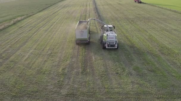 Malle, Belgien, 18-09-2021, antenn av traktorbalar som gör halmbalar i fält efter veteskörd på gården under sommaren — Stockvideo