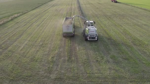 Malle, Belgie, 18-09-2021, Aerial of tractor baler making straw bales in field after wheat harvestvest in summer on farm — Stock video