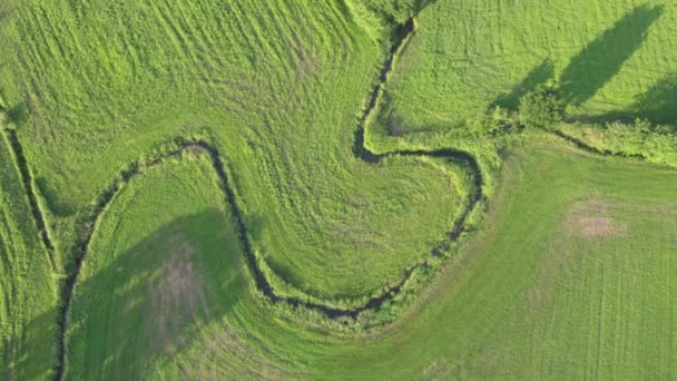 Survolant une prairie verte avec de petits arbres — Video